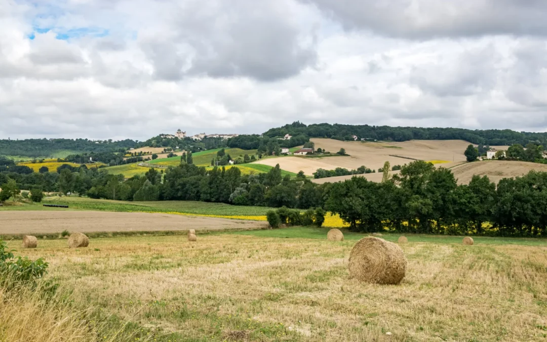 Le Quercy Blanc : découvrez cette terre de caractère au charme discret