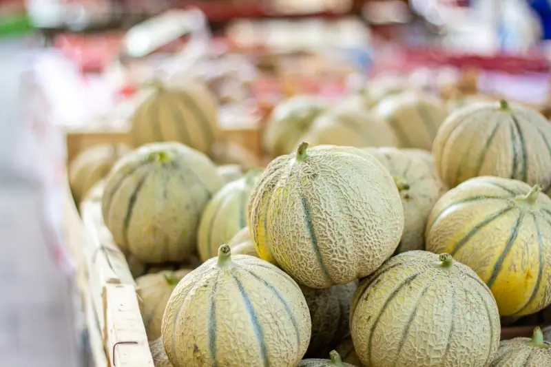 melon-du-quercy-marche-Cahors Des melons du Quercy sur un étal au marché de Cahors.