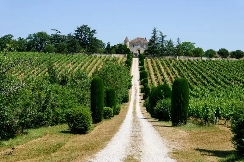 vignoble-cahors-floressas Vignobles de Cahors et Malbec bio, à l'entrée du Château de Chambert, à Floressas, dans le Lot.